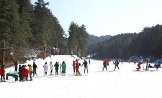 河北：與冬奧籌辦協同推進，讓冰雪產業成為新產業增長點