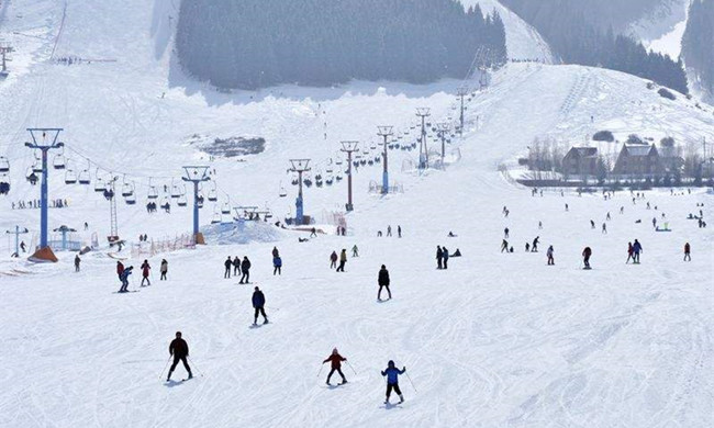建一個小型滑雪場大概需要多少錢?
